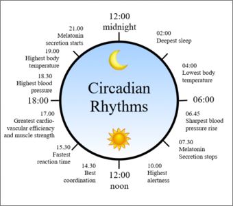 Circadian
