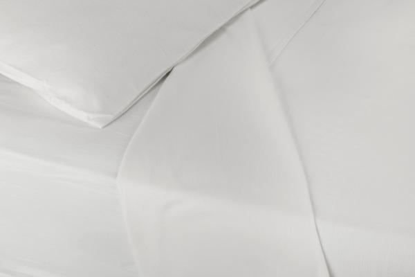 Winter Sheeting std Pillow Case